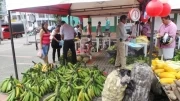 Desde las 6 de la mañana del domingo los productores abrieron sus puestos de venta, luego que les colaboraran en llevar sus productos desde sus parcelas hasta Yopal.